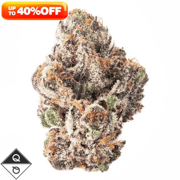 QUALITY OVER QUANTITY - Royal Blueberry Gelato Flower 14g
