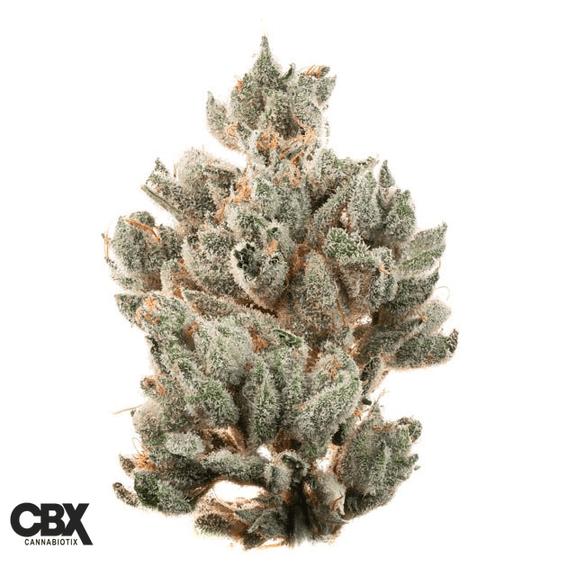 CANNABIOTIX - Sublime Lime Flower 3.5g
