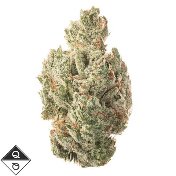 QUALITY OVER QUANTITY - Zkittzy Glue Flower 3.5g