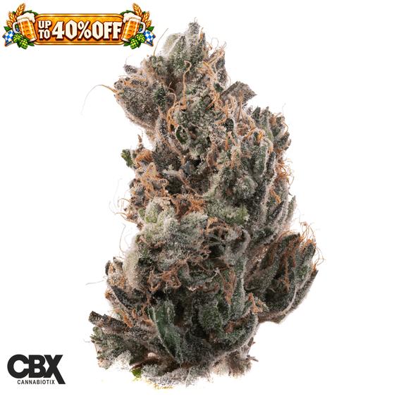 CANNABIOTIX - Glue Flame Flower 3.5g