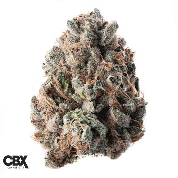 CANNABIOTIX - Highuasca Flower 3.5g