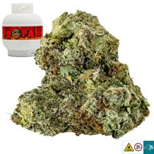HAMI✴︎Super Rare✴︎jazzy mellow R&G Seven G Weed Flower for Sale