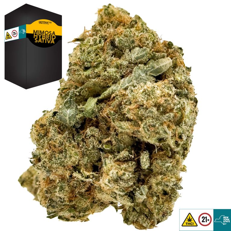 Mimosa⭐︎ Mimosa (Symbiotic Genetics) :: Cannabis Strain Info